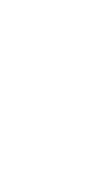 Lion Studios