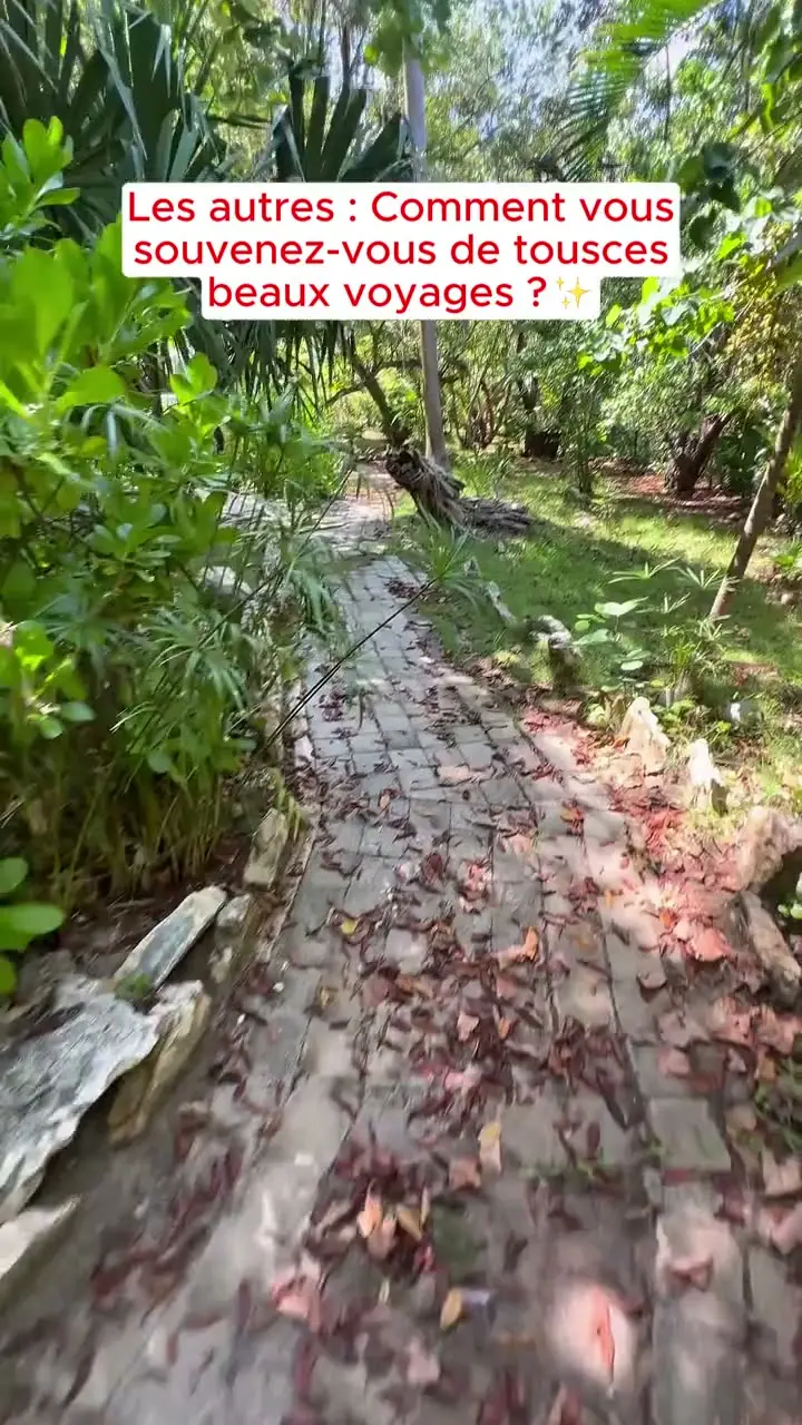 Travel & Experiences video ad